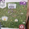 Engblomster Mix 250 Gr.