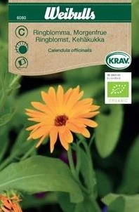 Morgenfrue, økologisk