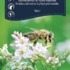 Blomstermix Til Insekter 2 Blomstermix Til Insekter -Kinderlan Butik 6946
