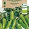 Chilipeber `Padron`, økologisk -Kinderlan Butik 7973