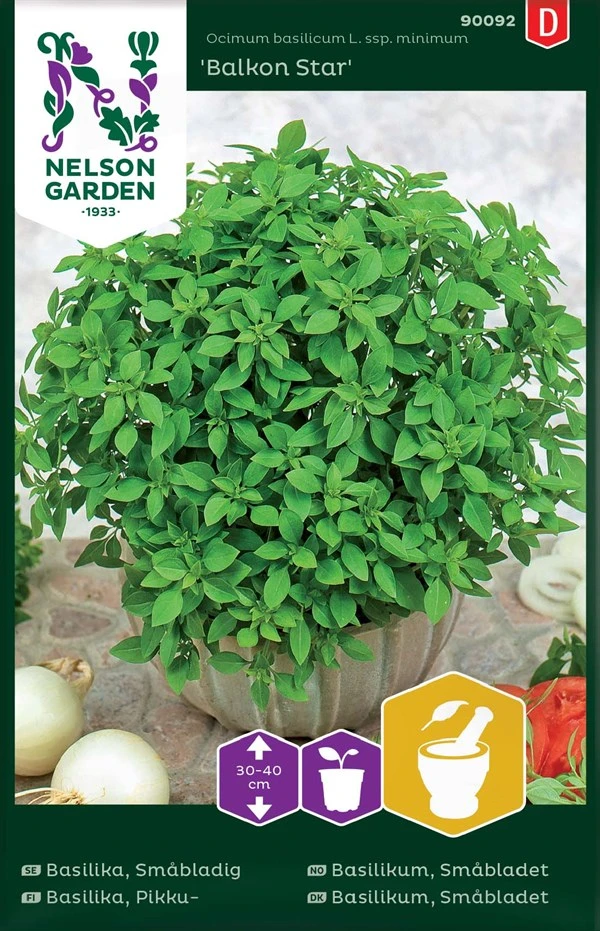 Basilikum Kugleformet 3 Basilikum Kugleformet