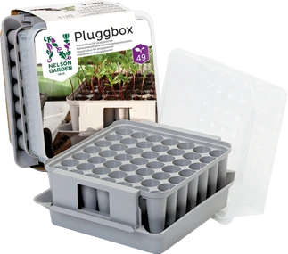 Minidrivhus Pluggbox 3 Minidrivhus Pluggbox