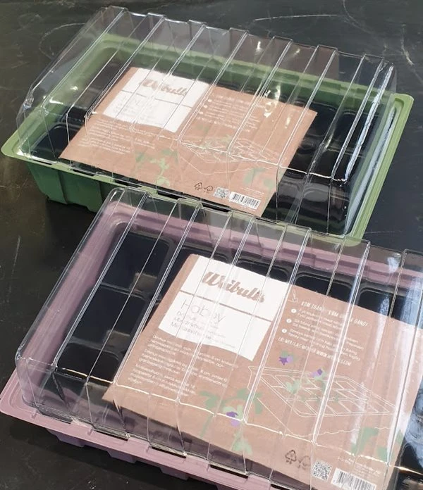 Minidrivhus Til Forkultivering 3 Minidrivhus Til Forkultivering