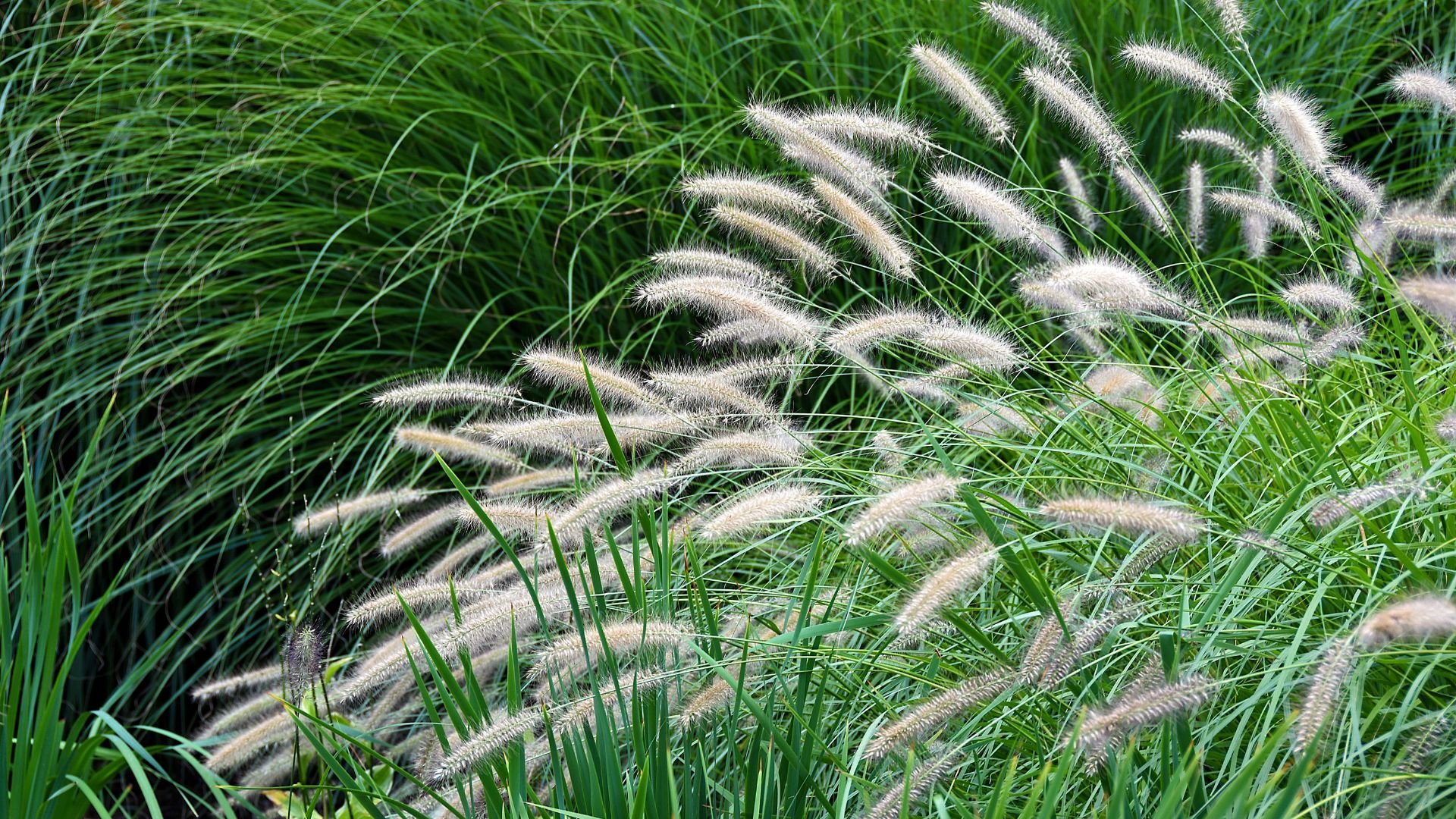 Kinderlan Butik -Kinderlan Butik 491 Billeder i mails og artikler 1920 × 1080px 61