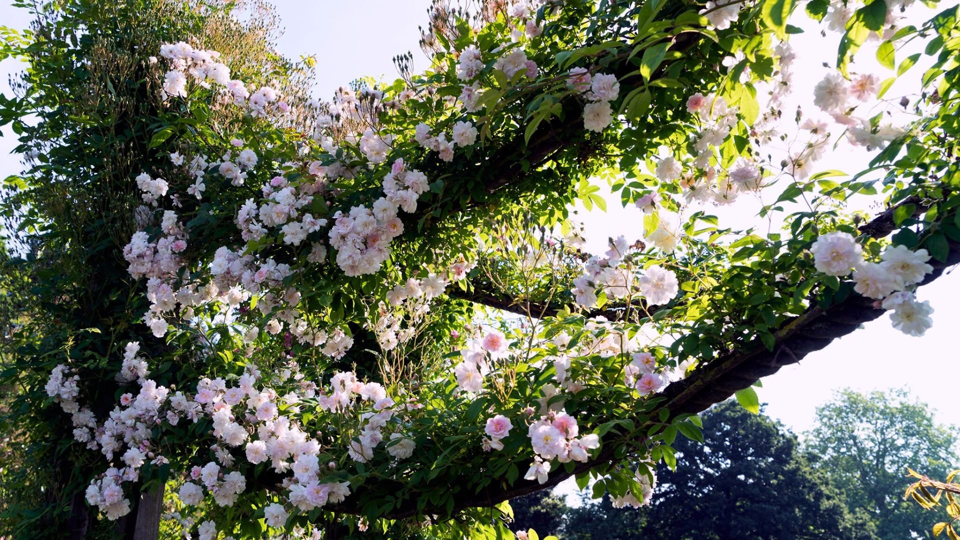 Kinderlan Butik -Kinderlan Butik 689 Billeder i mails og artikler 1920 × 1080px 2024 07 02T144927.485